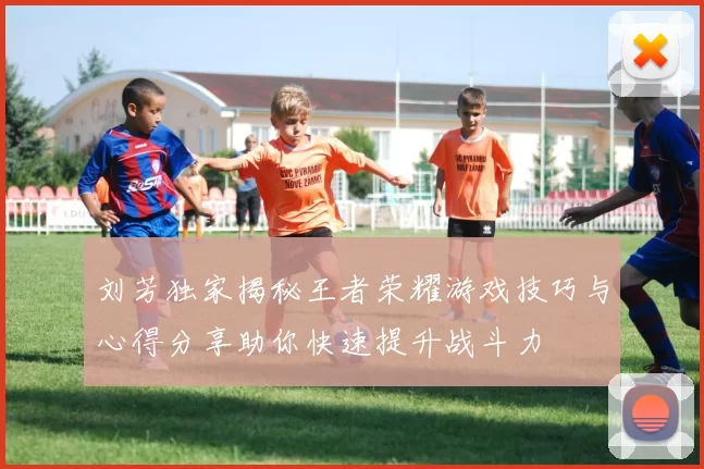 刘芳独家揭秘王者荣耀游戏技巧与心得分享助你快速提升战斗力