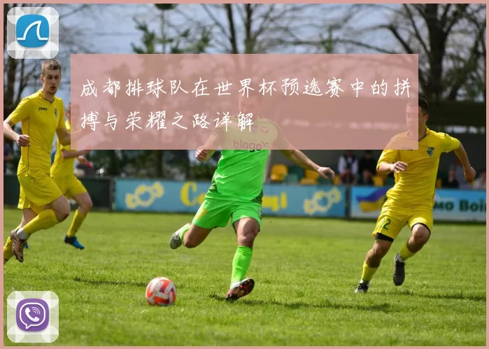 成都排球队在世界杯预选赛中的拼搏与荣耀之路详解