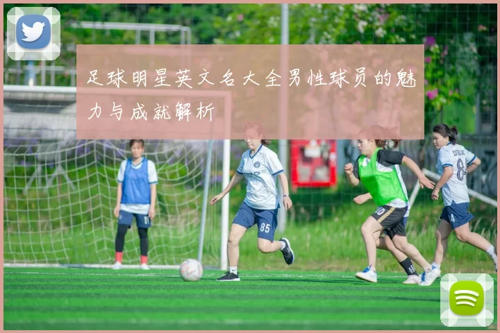 足球明星英文名大全男性球员的魅力与成就解析