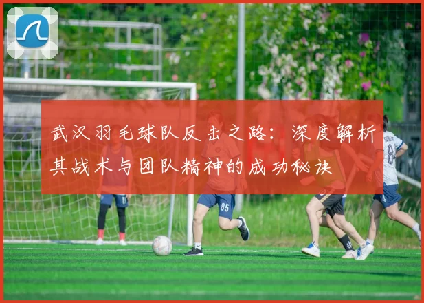 武汉羽毛球队反击之路：深度解析其战术与团队精神的成功秘诀