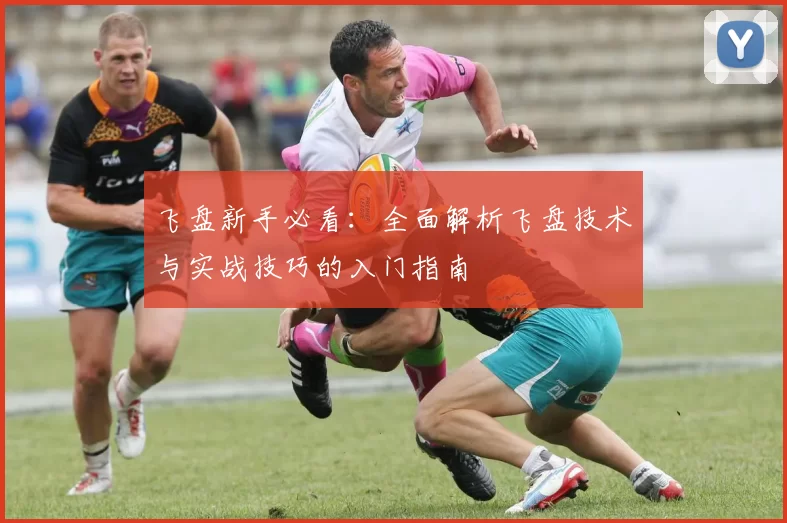 飞盘新手必看：全面解析飞盘技术与实战技巧的入门指南