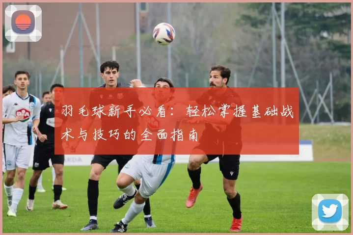 羽毛球新手必看：轻松掌握基础战术与技巧的全面指南