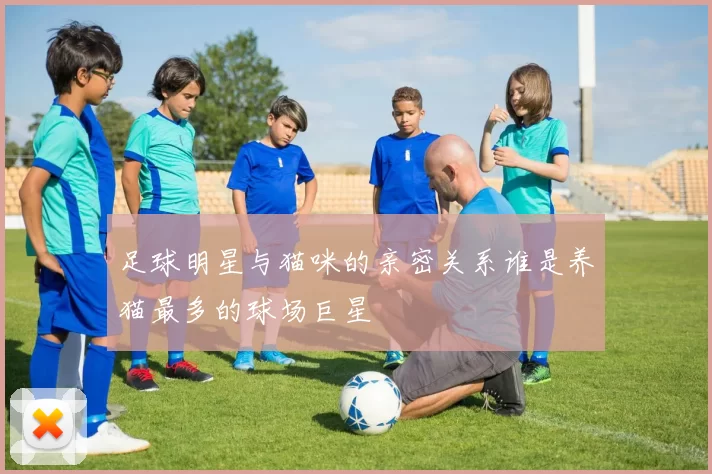足球明星与猫咪的亲密关系谁是养猫最多的球场巨星