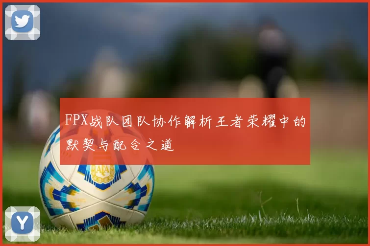 FPX战队团队协作解析王者荣耀中的默契与配合之道