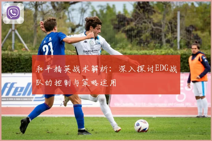 和平精英战术解析：深入探讨EDG战队的控制与策略运用
