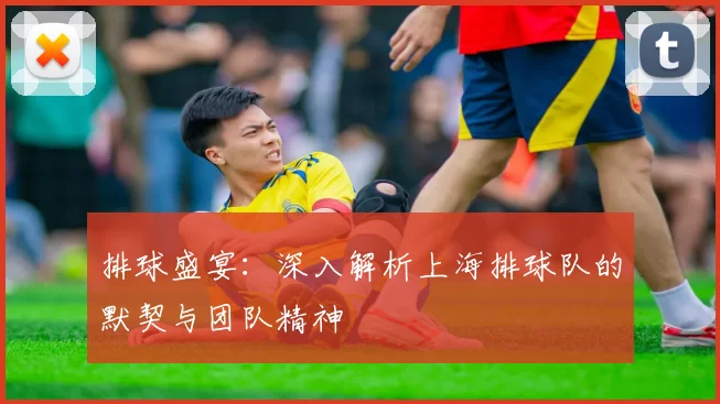 排球盛宴：深入解析上海排球队的默契与团队精神