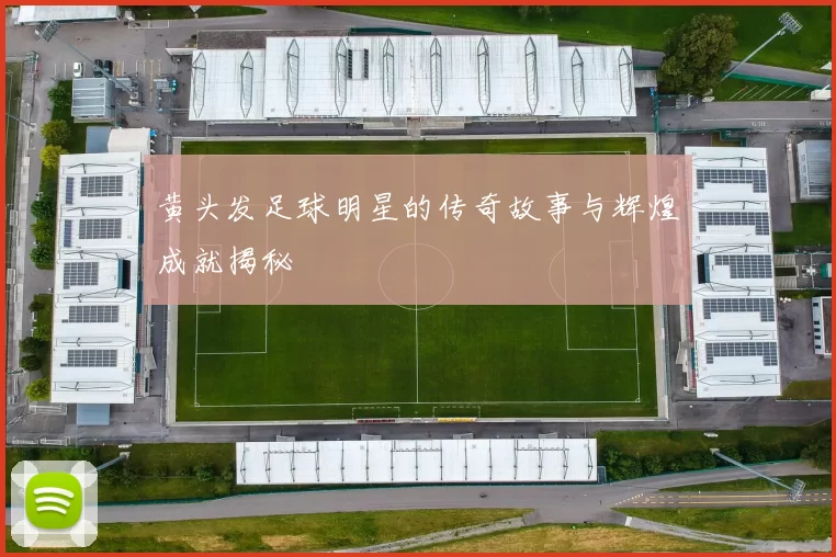 黄头发足球明星的传奇故事与辉煌成就揭秘