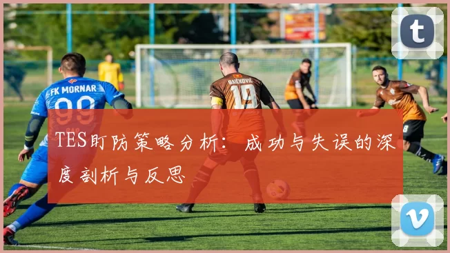 TES盯防策略分析：成功与失误的深度剖析与反思