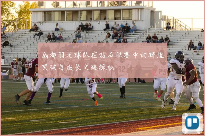 成都羽毛球队在钻石联赛中的辉煌突破与成长之路探秘