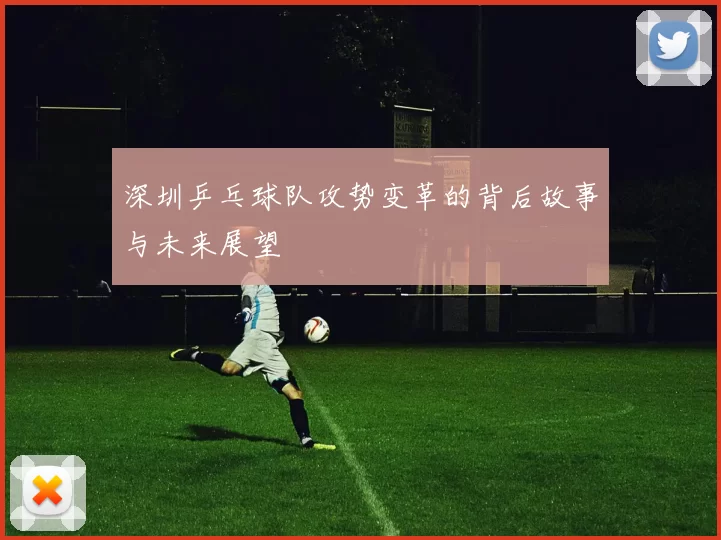 深圳乒乓球队攻势变革的背后故事与未来展望