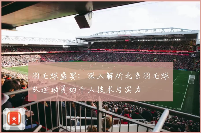 羽毛球盛宴：深入解析北京羽毛球队运动员的个人技术与实力