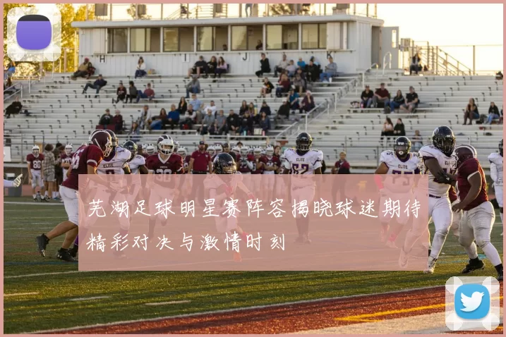 芜湖足球明星赛阵容揭晓球迷期待精彩对决与激情时刻
