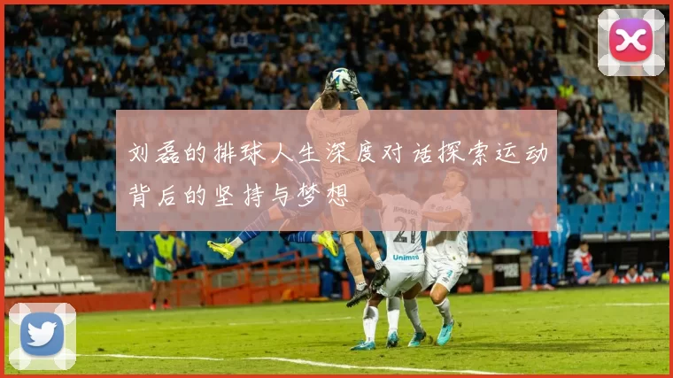 刘磊的排球人生深度对话探索运动背后的坚持与梦想