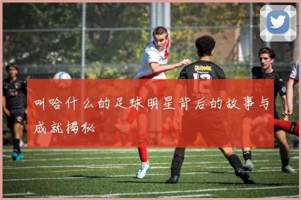叫哈什么的足球明星背后的故事与成就揭秘