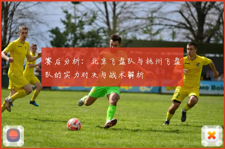 赛后分析：北京飞盘队与杭州飞盘队的实力对决与战术解析