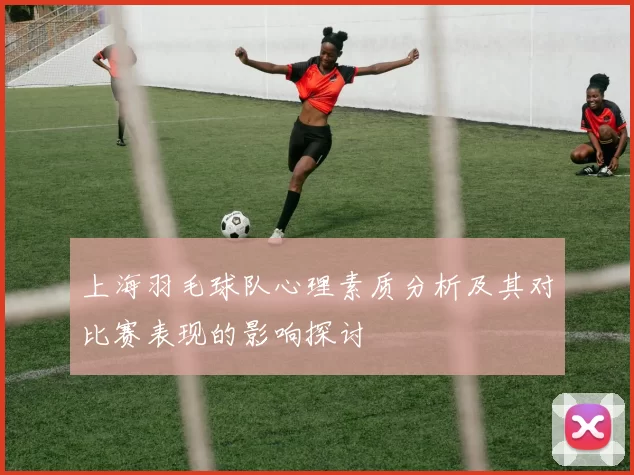 上海羽毛球队心理素质分析及其对比赛表现的影响探讨