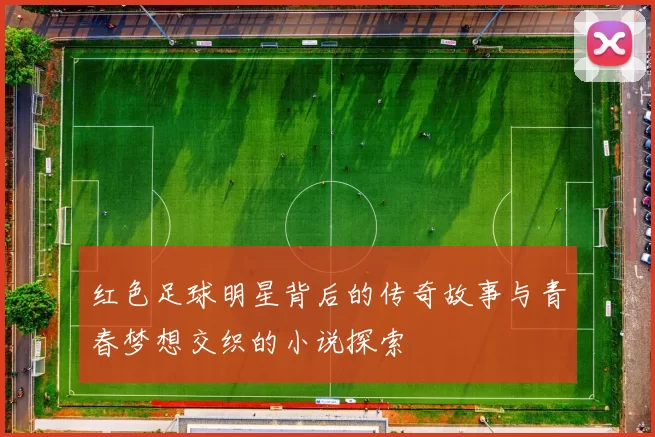 红色足球明星背后的传奇故事与青春梦想交织的小说探索